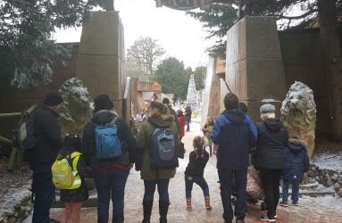 Junior Church Safari